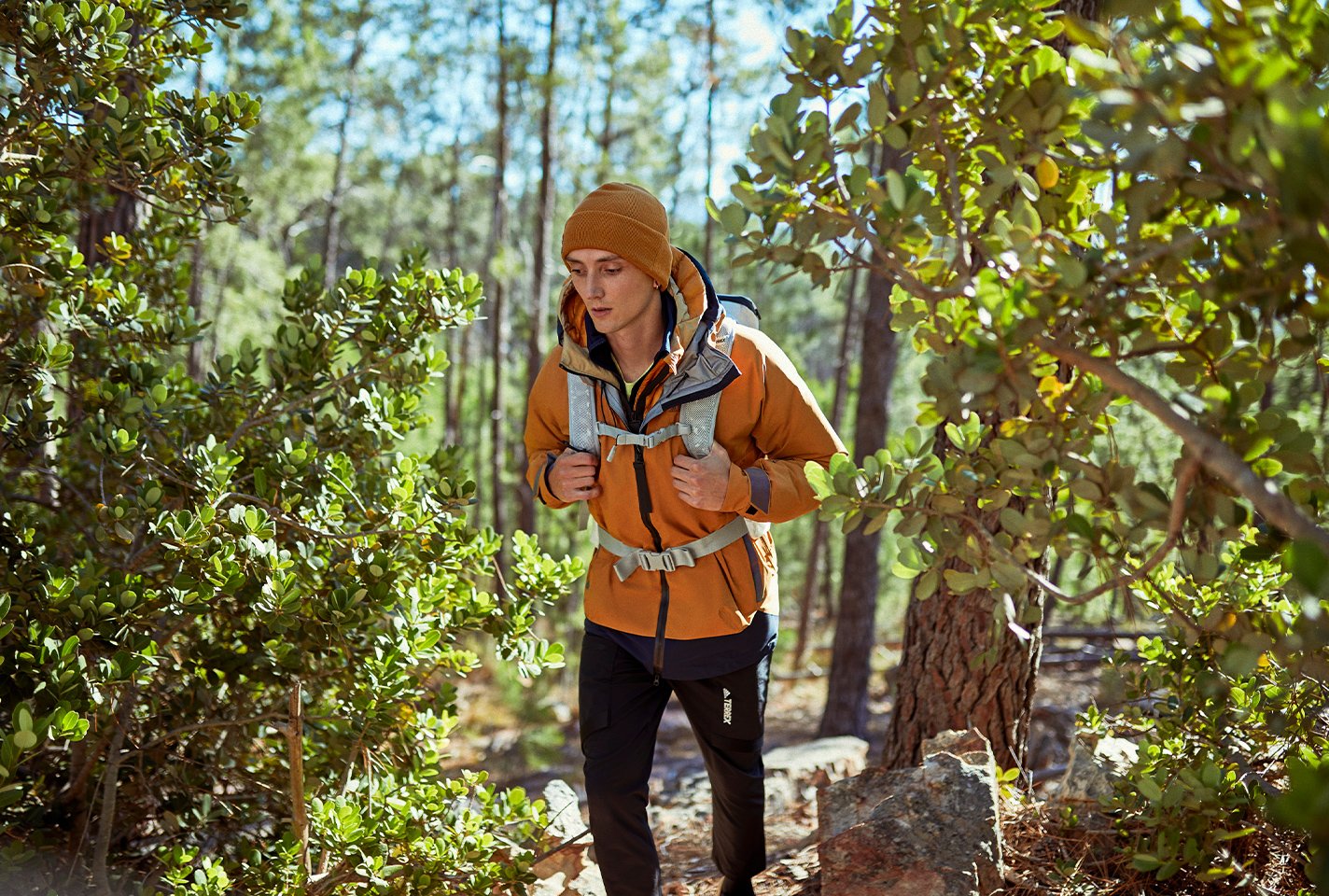 Adidas Terrex | Herfst- Wintercollectie 2021 | Heren