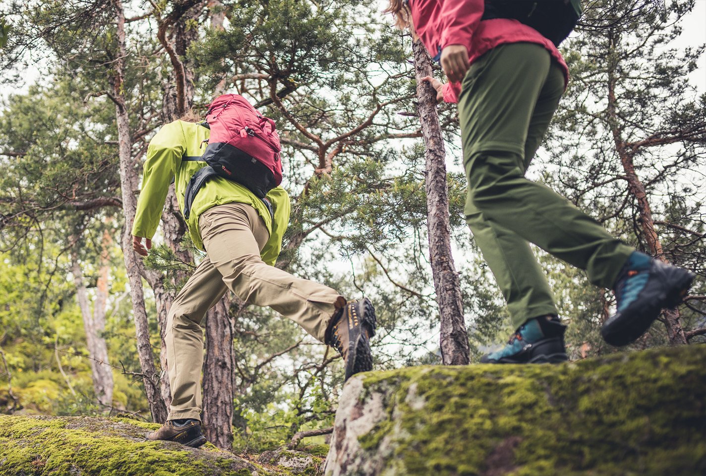 Maiersports Broekencollectie