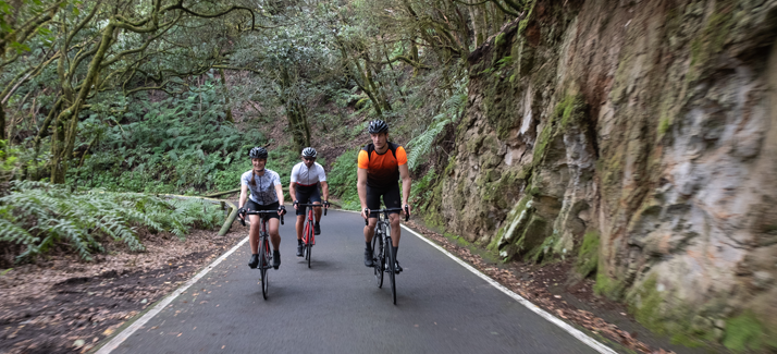 Train die benen: 5 heuvelachtige fietsregio's in Nederland