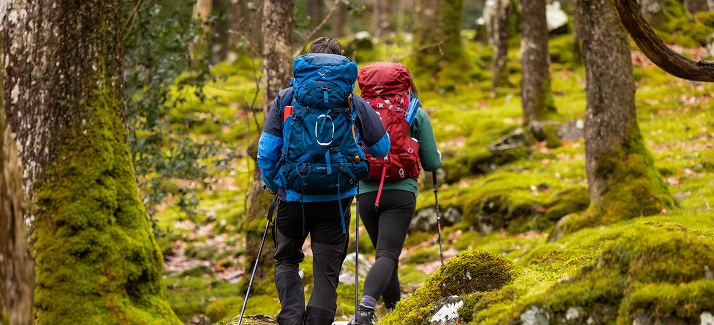 gezin met kinderen maakt een wandeling door het bos