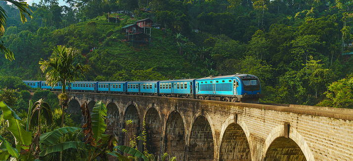 trein rijdt door een tropisch landschap