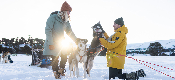 man en vrouw in de sneeuw met huskies