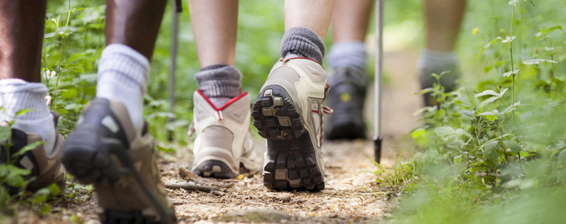 Welke wandelschoenen passen bij jou? 