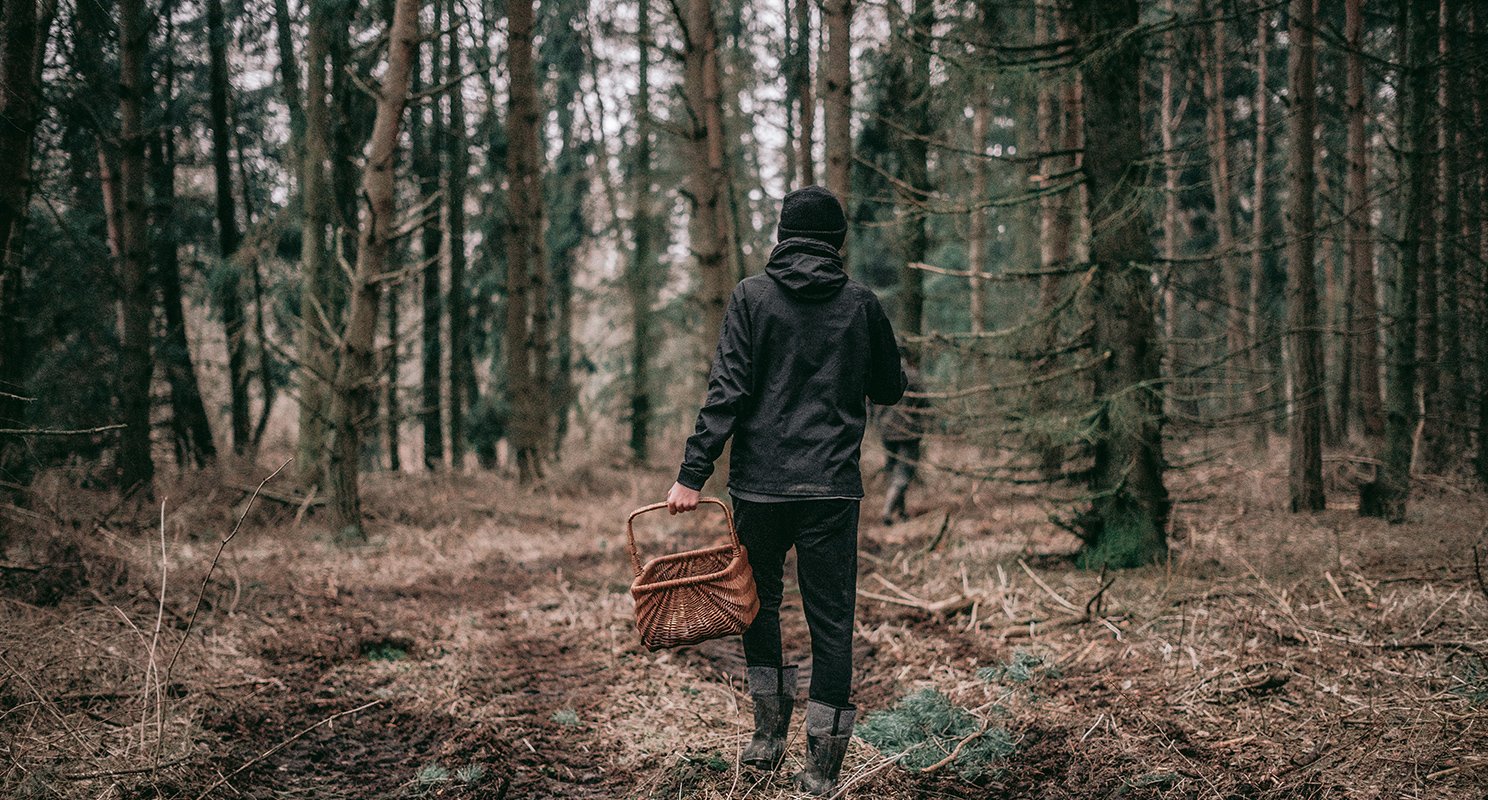 Bever B2B | Natuur en Groen